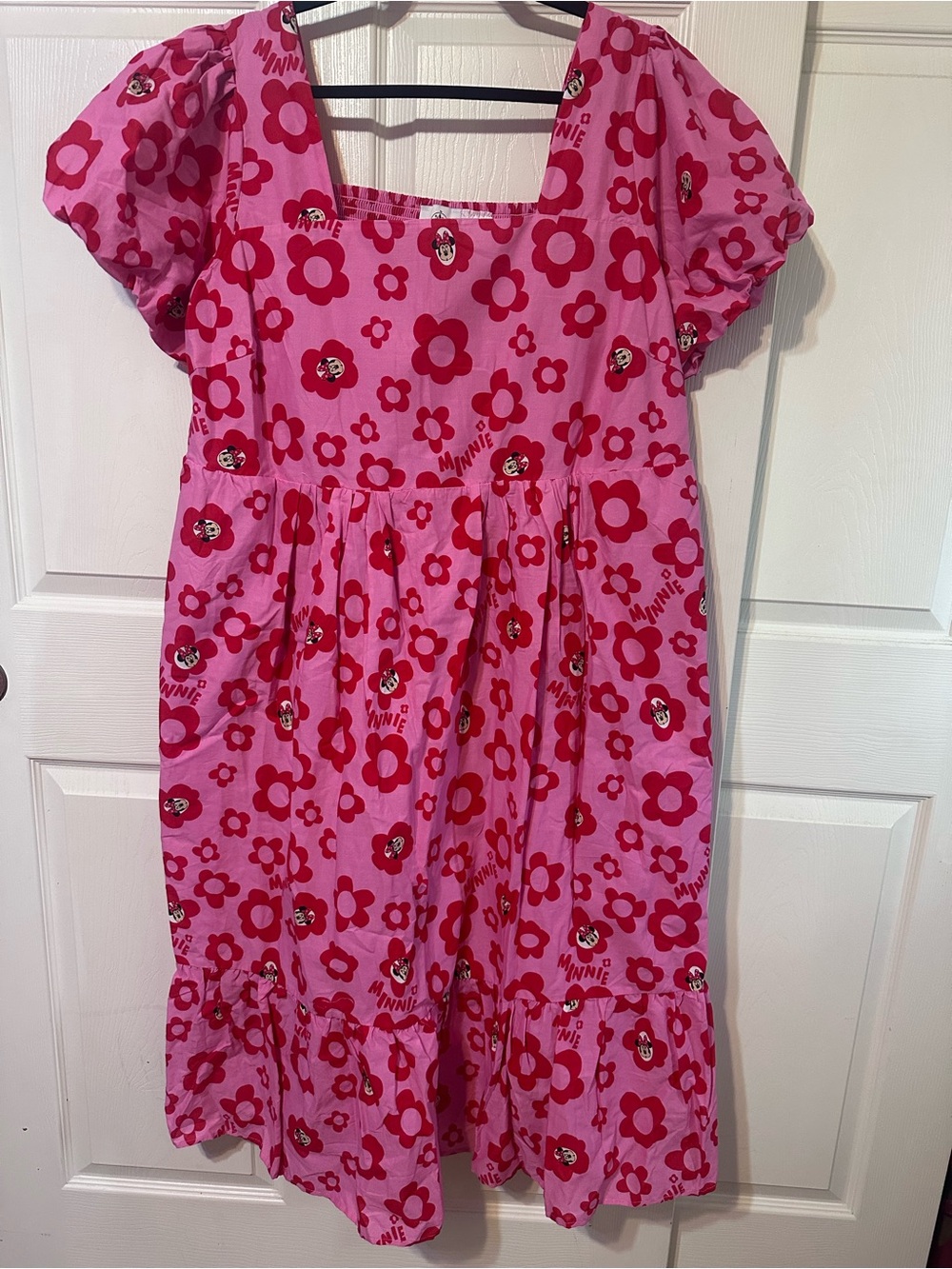 Disney Pink and Red Floral Minnie Dress